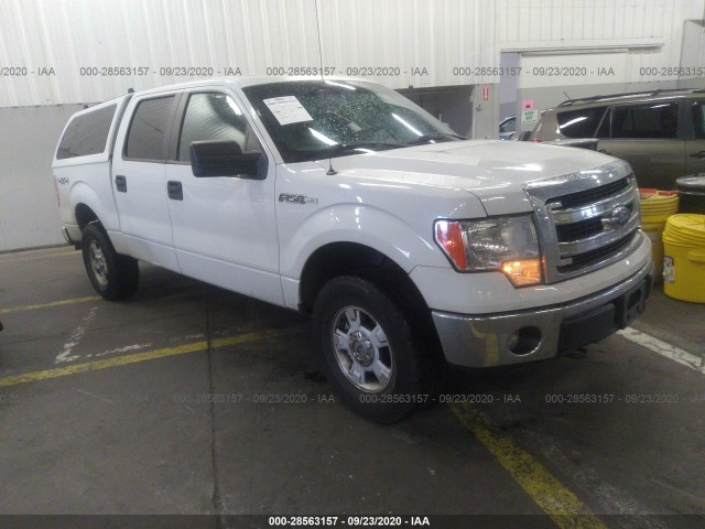 FORD F-150 2013 1ftfw1ef2dfa06753