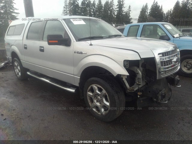 FORD F-150 2013 1ftfw1ef2dfb11762