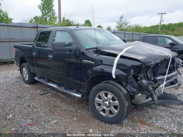 FORD F-150 2013 1ftfw1ef2dfb33115