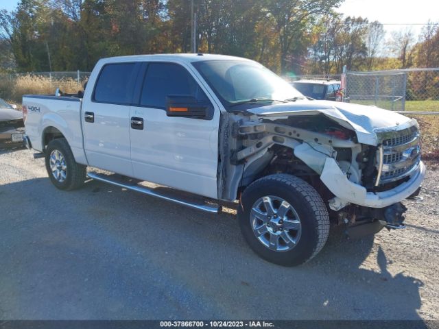 FORD F-150 2013 1ftfw1ef2dfb51064