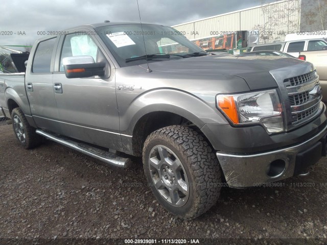 FORD F-150 2013 1ftfw1ef2dfb62081