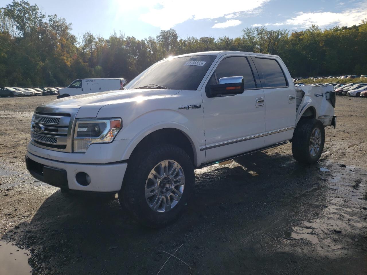 FORD F-150 2013 1ftfw1ef2dfb64333