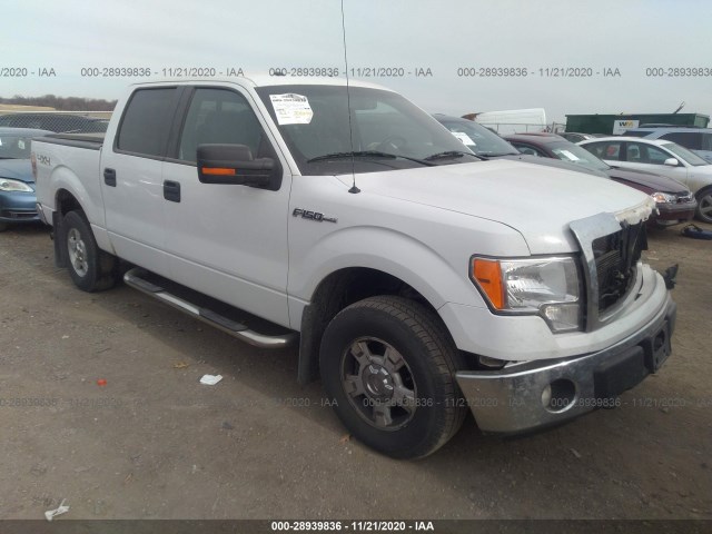 FORD F-150 2013 1ftfw1ef2dfb76823