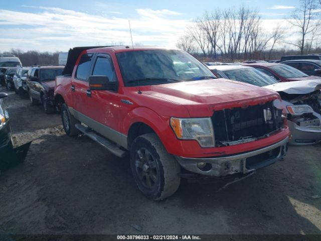 FORD F-150 2013 1ftfw1ef2dfc99831