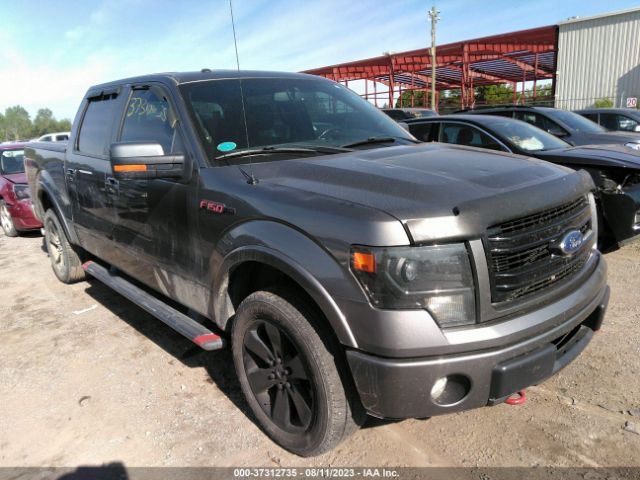 FORD F-150 2013 1ftfw1ef2dfd42662