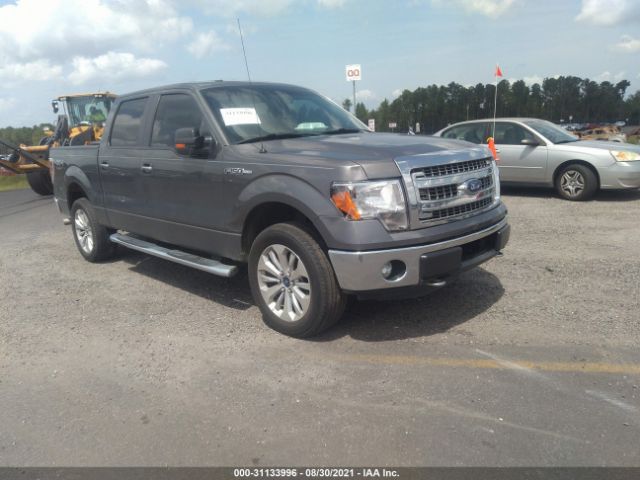 FORD F-150 2013 1ftfw1ef2dfd62040