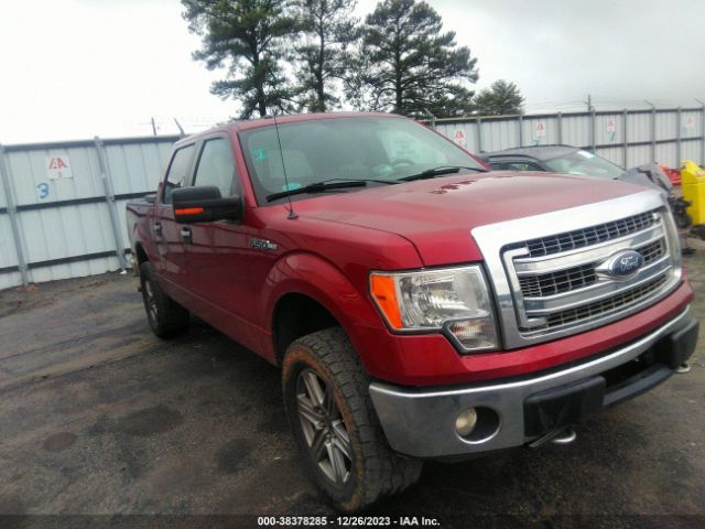 FORD F150 2013 1ftfw1ef2dfd91179