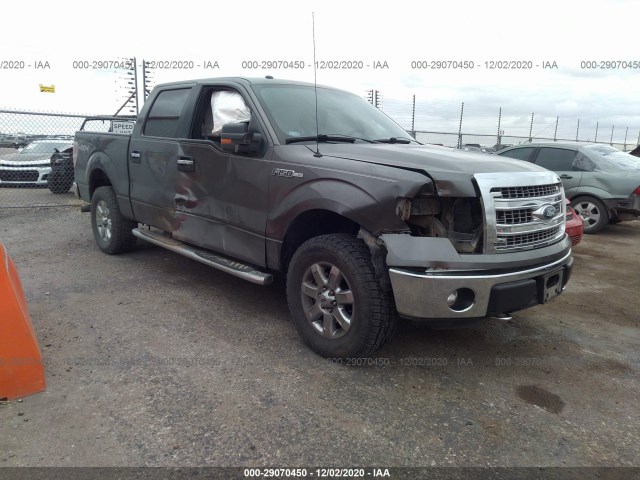 FORD F-150 2013 1ftfw1ef2dkd23746