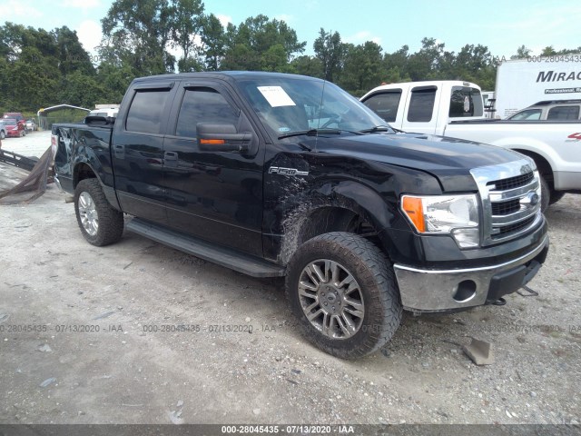 FORD F-150 2013 1ftfw1ef2dkd66211