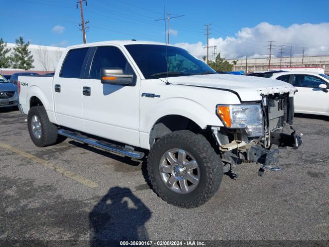 FORD F-150 2013 1ftfw1ef2dkd81128