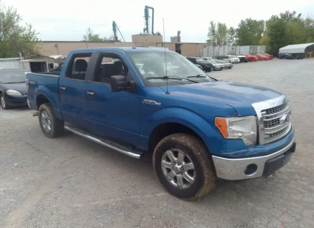 FORD F-150 2013 1ftfw1ef2dke43742