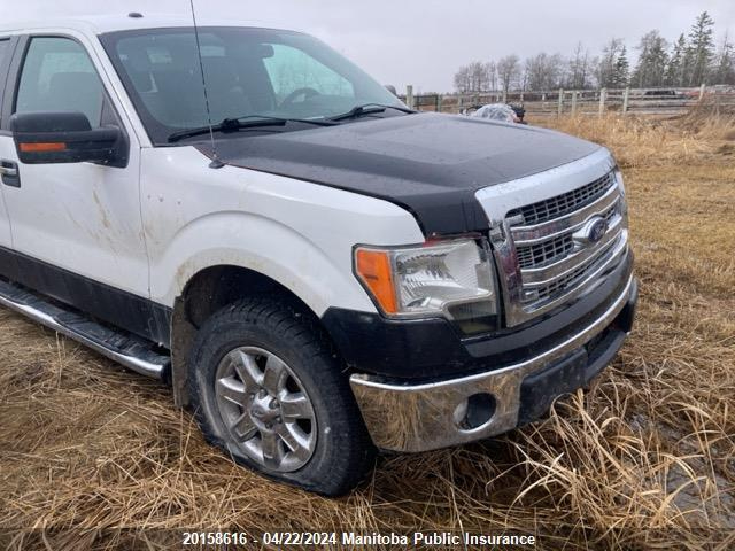 FORD F-150 2013 1ftfw1ef2dke84646