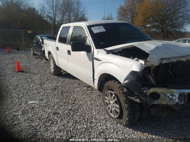 FORD F-150 2013 1ftfw1ef2dkf11554