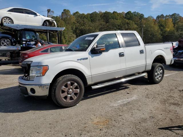 FORD F-150 2013 1ftfw1ef2dkg18636