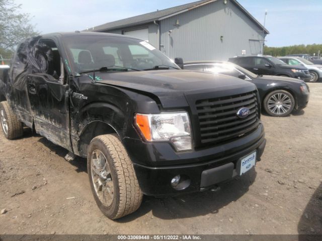 FORD F-150 2014 1ftfw1ef2efb08071