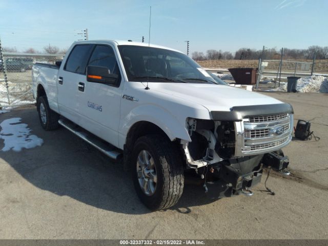 FORD F-150 2014 1ftfw1ef2efc36990