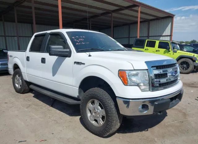 FORD F-150 2014 1ftfw1ef2eke25081