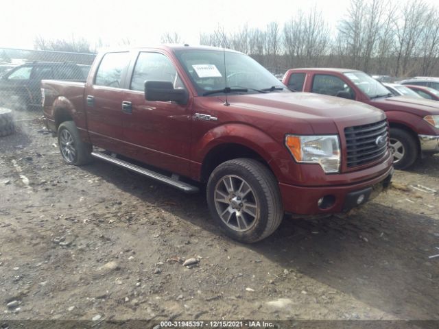 FORD F-150 2014 1ftfw1ef2ekf17873