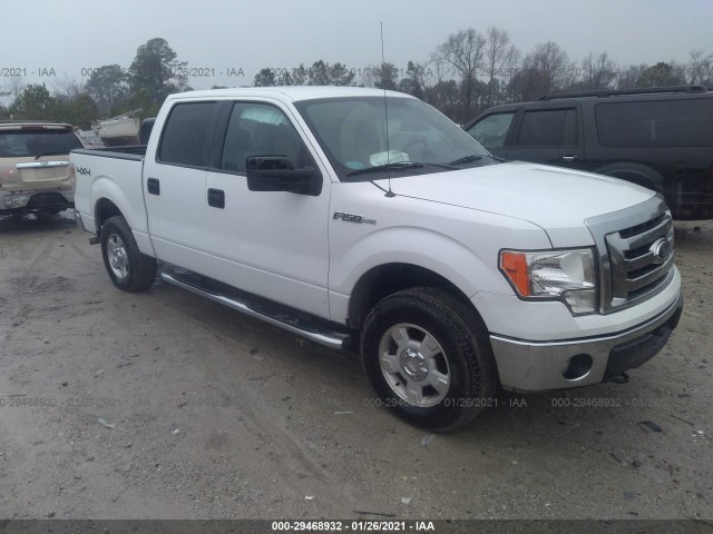 FORD F-150 2011 1ftfw1ef3bfb46209