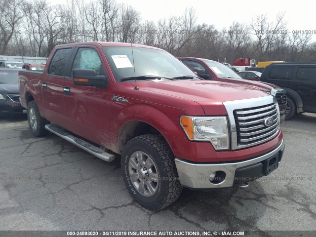 FORD F-150 2011 1ftfw1ef3bfc37867