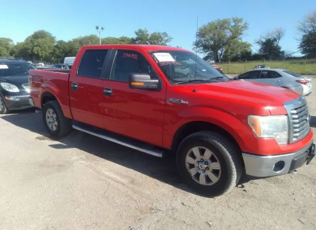 FORD F-150 2011 1ftfw1ef3bkd43923