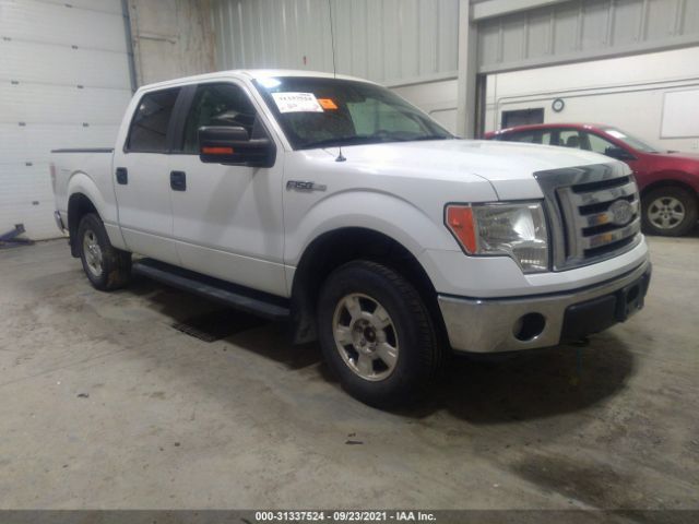 FORD F-150 2011 1ftfw1ef3bkd87081