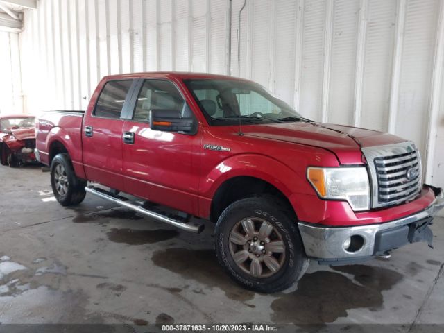 FORD F-150 2012 1ftfw1ef3cfa92234