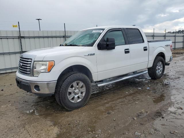 FORD F-150 2012 1ftfw1ef3cfb61343