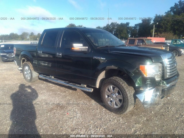 FORD F-150 2012 1ftfw1ef3cfc05552