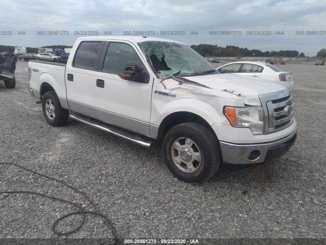 FORD F-150 2012 1ftfw1ef3cfc23923