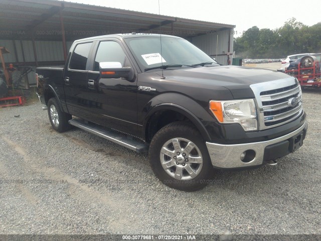 FORD F-150 2013 1ftfw1ef3dfa02422