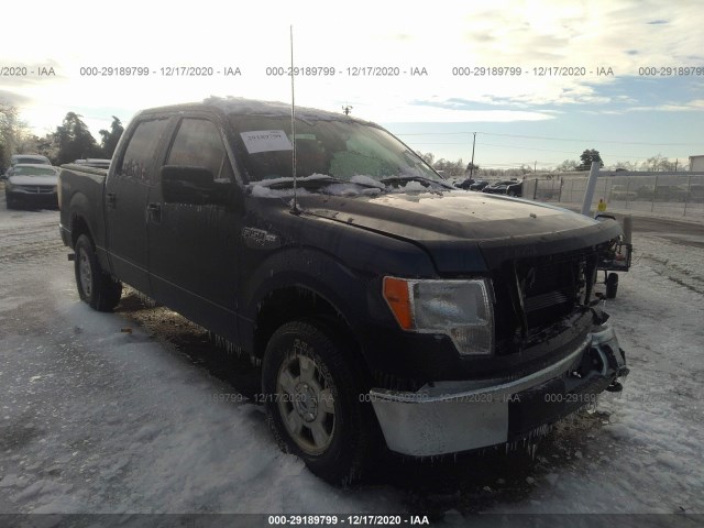 FORD F-150 2013 1ftfw1ef3dfa11878