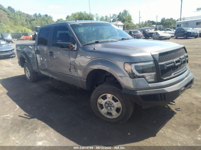 FORD F-150 2013 1ftfw1ef3dfa25067