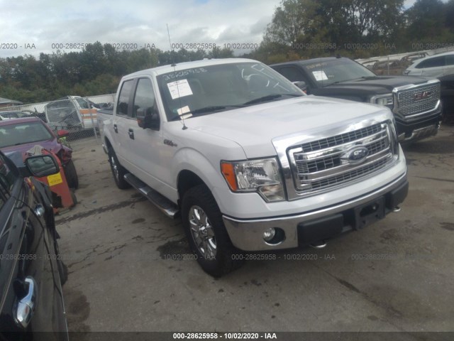 FORD F-150 2013 1ftfw1ef3dfa65889