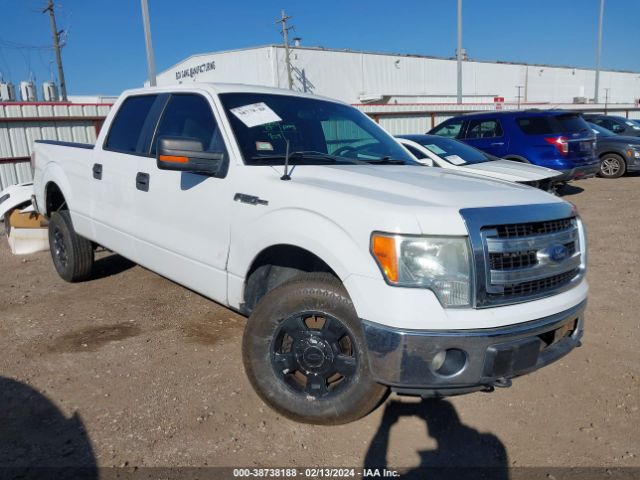 FORD F-150 2013 1ftfw1ef3dfa94177