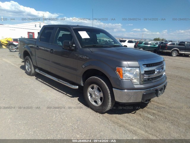 FORD F-150 2013 1ftfw1ef3dfa96382