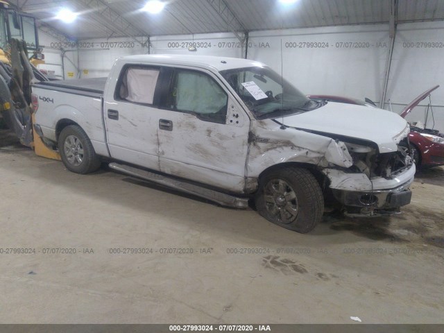 FORD F-150 2013 1ftfw1ef3dfb01239