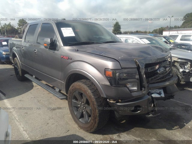 FORD F-150 2013 1ftfw1ef3dfb79195