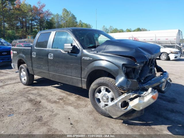 FORD F-150 2013 1ftfw1ef3dfb99558