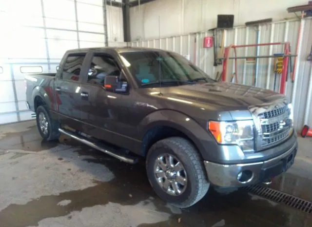 FORD F-150 2013 1ftfw1ef3dfc76476