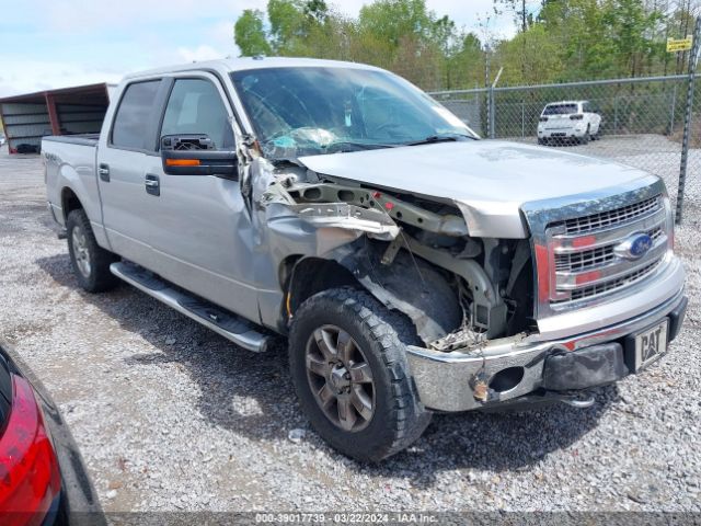 FORD F-150 2013 1ftfw1ef3dfc76669