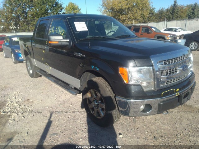 FORD F-150 2013 1ftfw1ef3dfc93133