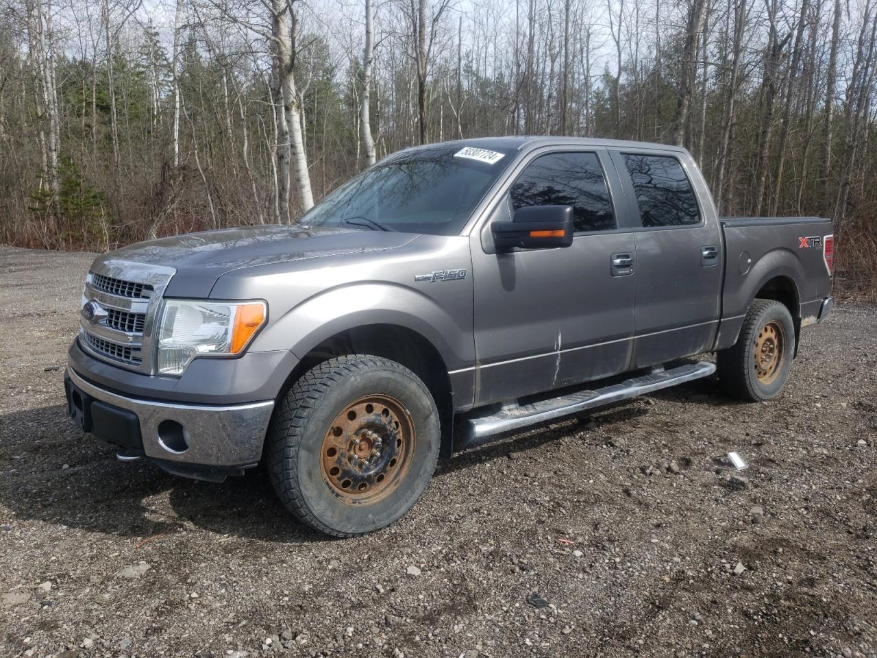 FORD F-150 2013 1ftfw1ef3dfd06995