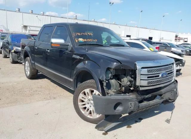 FORD F-150 2013 1ftfw1ef3dfd55081