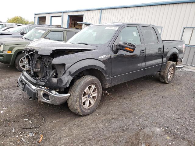 FORD F-150 2013 1ftfw1ef3dfd64461