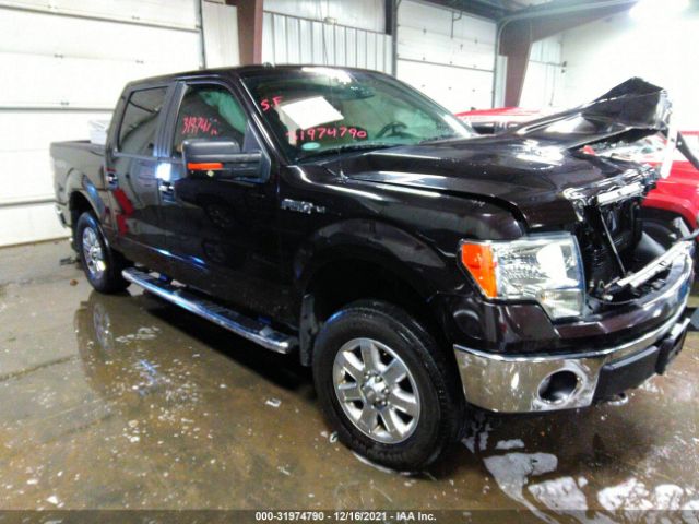 FORD F-150 2013 1ftfw1ef3dkd14280