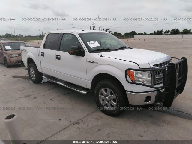 FORD F-150 2013 1ftfw1ef3dkd69036