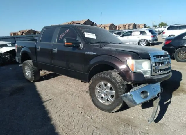 FORD F-150 2013 1ftfw1ef3dke02505