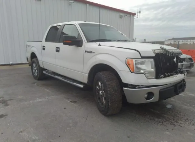 FORD F-150 2013 1ftfw1ef3dke22852