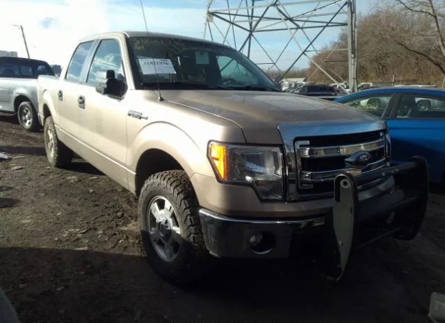 FORD F-150 2013 1ftfw1ef3dkf61606